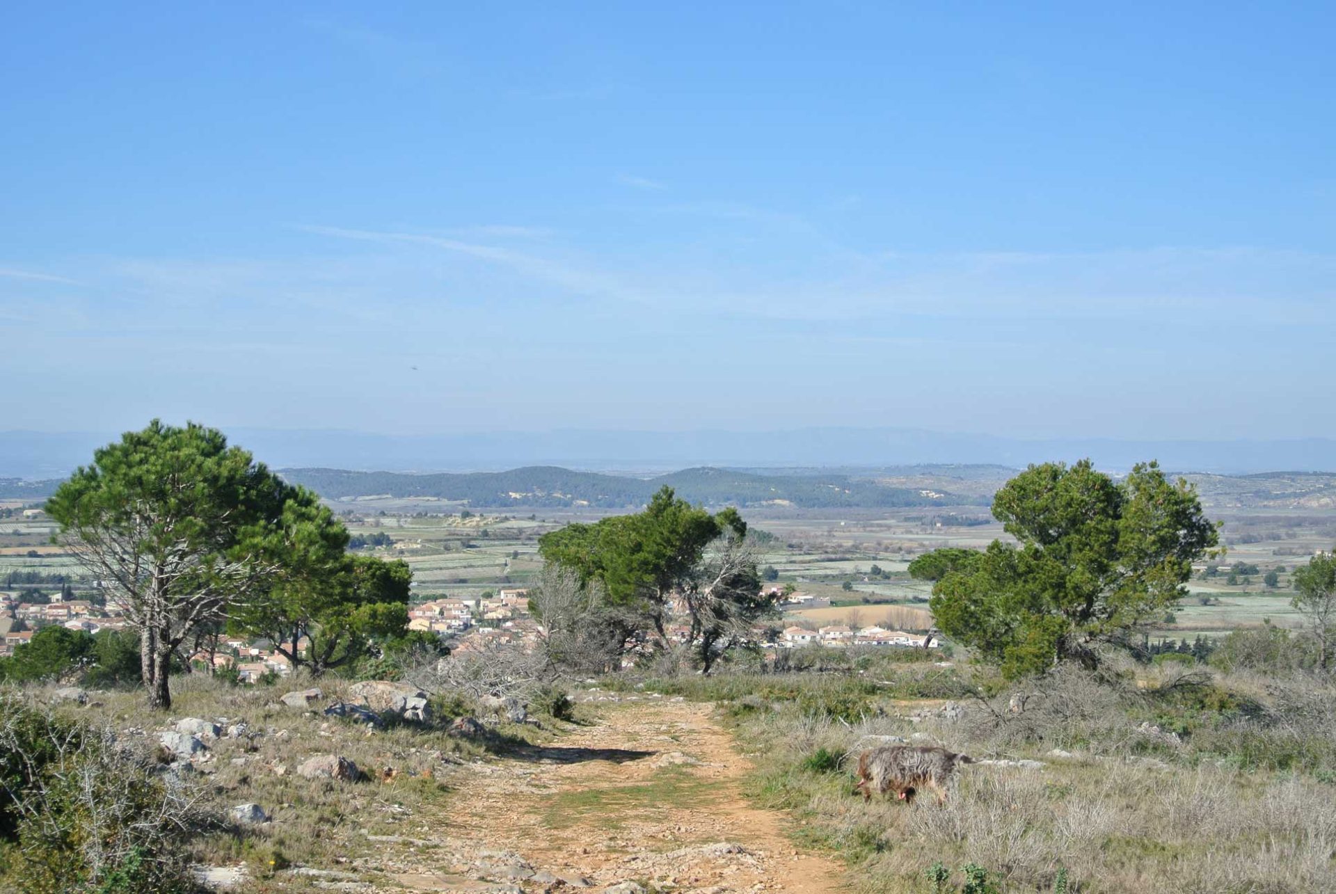 Fleury d'Aude - Parc naturel régional de la Narbonnaise en Méditerranée